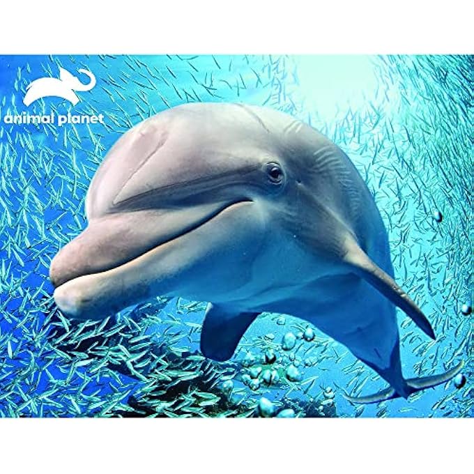 ANIMAL PLANET LICENSED - DOLPHIN PUZZLES - PUZZLE - 48 PCS - Image 3